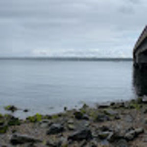 Meet your Posher, Jarrett